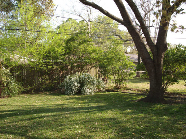 back yard-2 4513 hummingbird houston Texas real estate