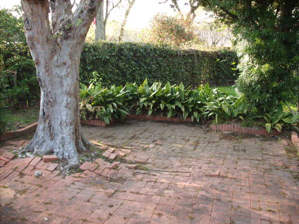 patio and tree 5130 grape houston Texas real estate