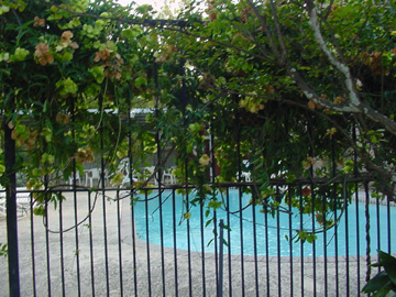 pool area, Houston, Texas real estate